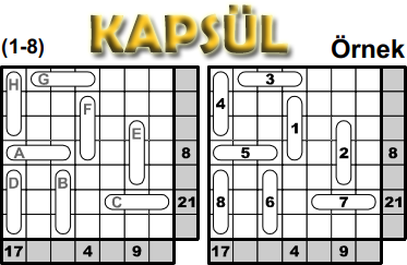  Kapsül Oyunu
